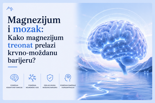 Magnezijum i mozak: Kako magnezijum treonat prelazi krvno-moždanu barijeru?