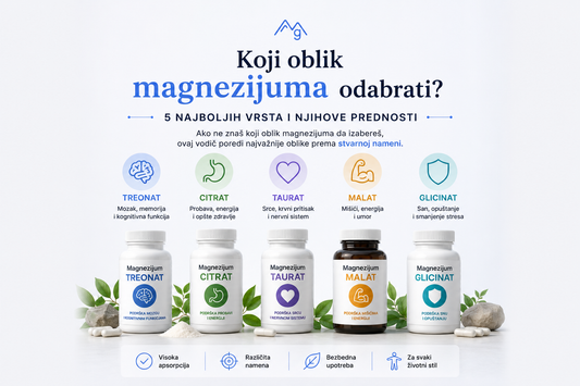 Koji oblik magnezijuma odabrati? 5 najboljih vrsta i njihove prednosti
