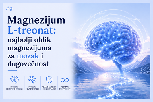 Najbolji magnezijum za mozak: zašto tvoj fokus zavisi od ovog minerala